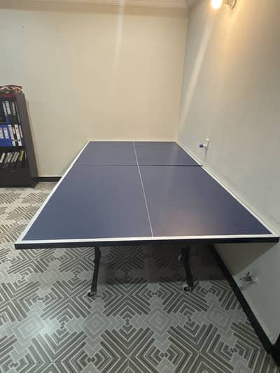 Table Tennis Pro Table