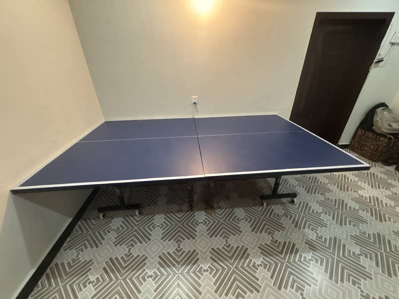 Table Tennis Pro Table 1