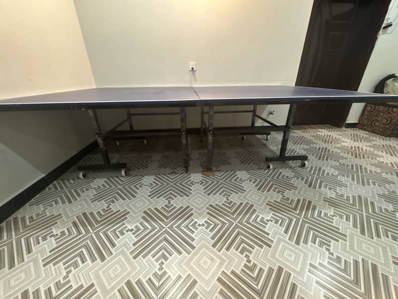 Table Tennis Pro Table 2