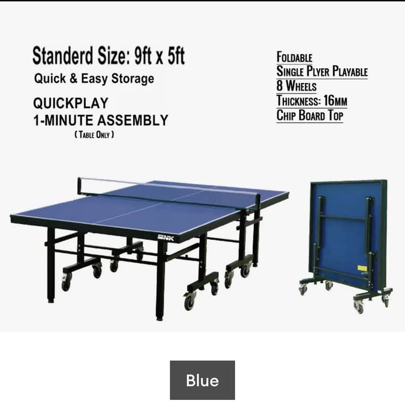 Table Tennis Pro Table 3