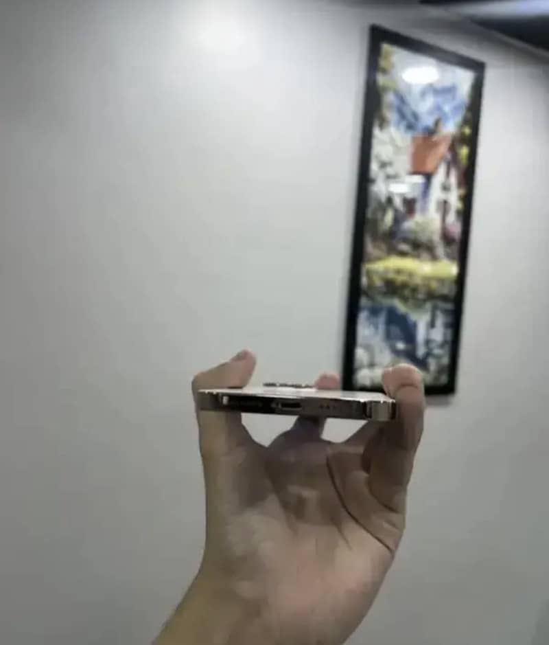 Apple iPhone 12 Pro Max 0