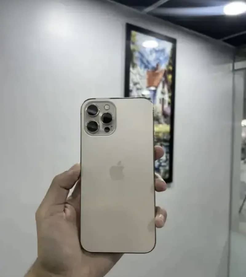 Apple iPhone 12 Pro Max 1