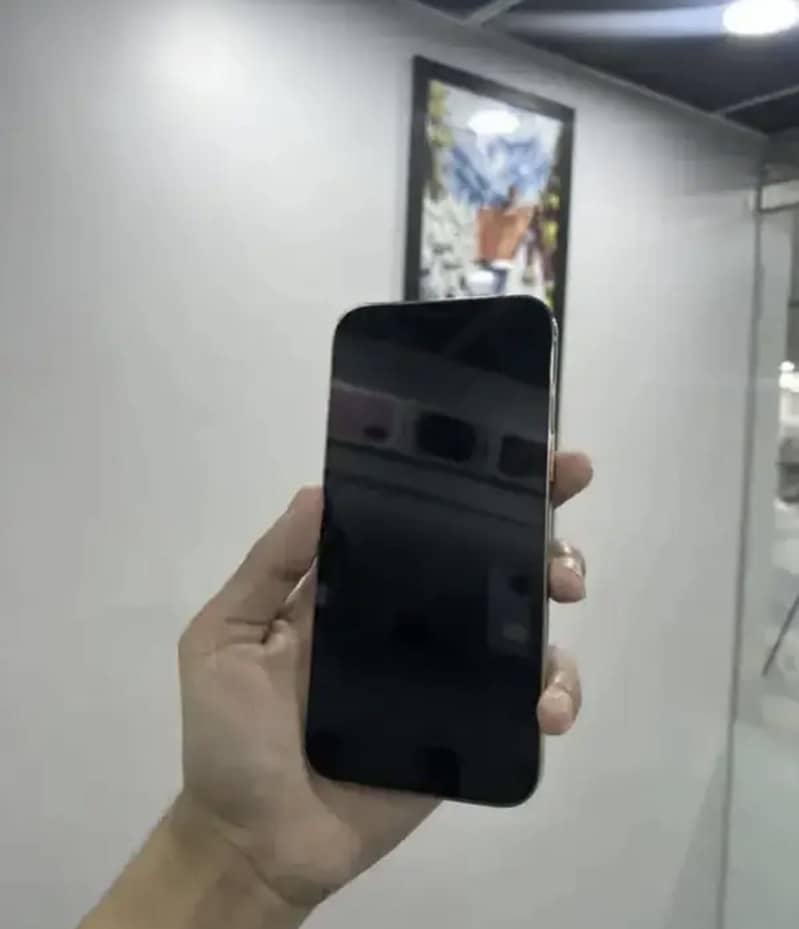 Apple iPhone 12 Pro Max 2