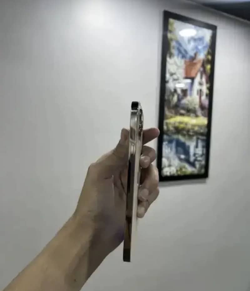 Apple iPhone 12 Pro Max 4