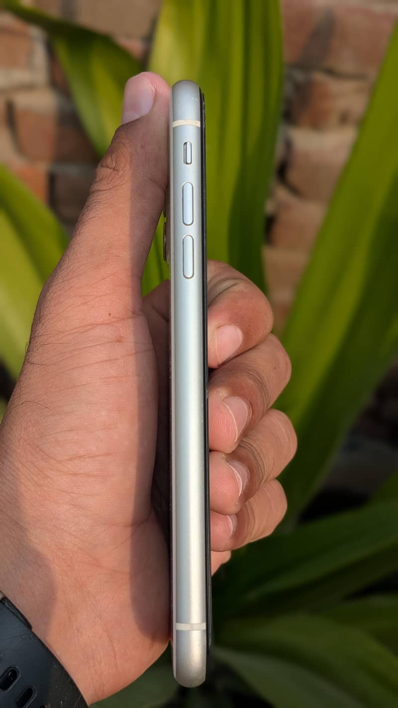 Apple iPhone 11 2