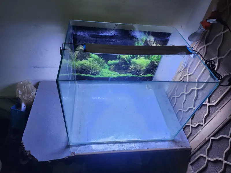 aquarium for sale with imported accessories — photo 2