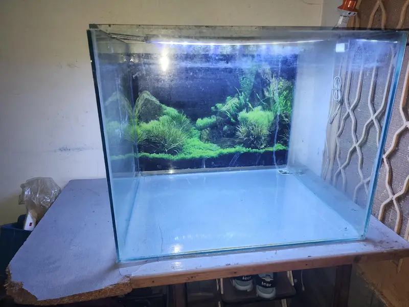 aquarium for sale with imported accessories — photo 3