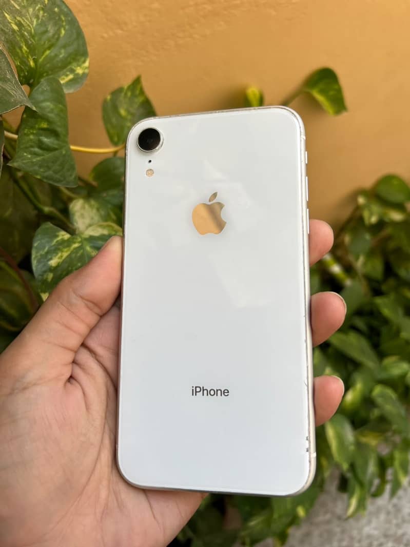 Iphone XR 3