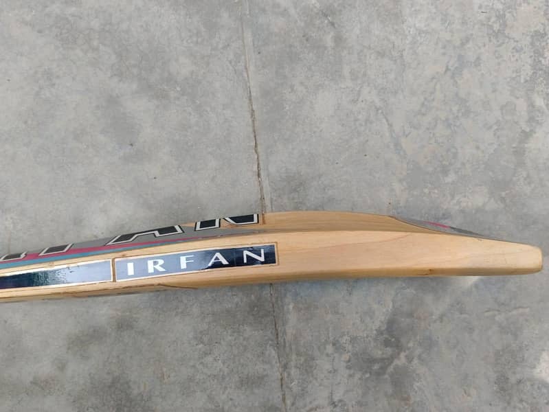 cricket bat 1