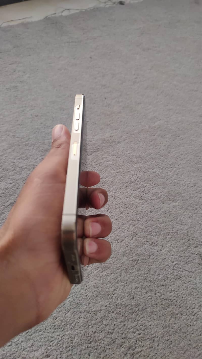 Apple iPhone 14 Pro Max 1
