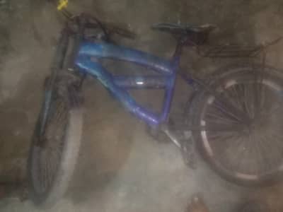 Sonic cycle