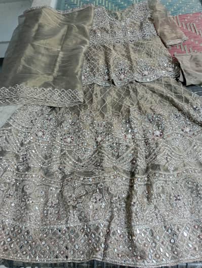 Beautiful Heavy Embroidered Wedding/Party Wear Lehnga  Beautiful
