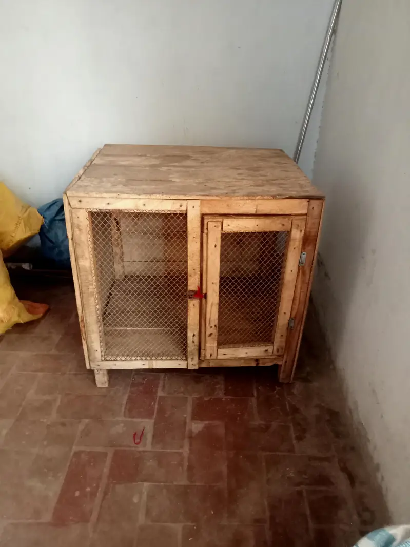 wood pinjra — photo 3