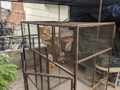 cage for sale