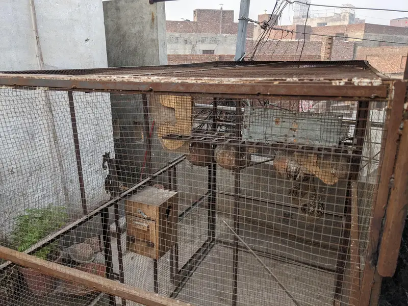 cage for sale — photo 2