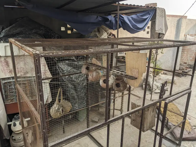 cage for sale — photo 4