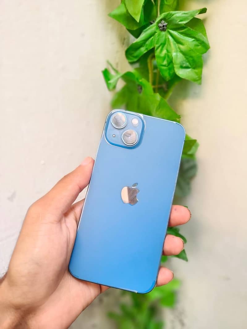 Apple iPhone 13 0