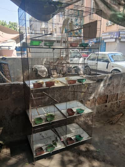 8 portion cage