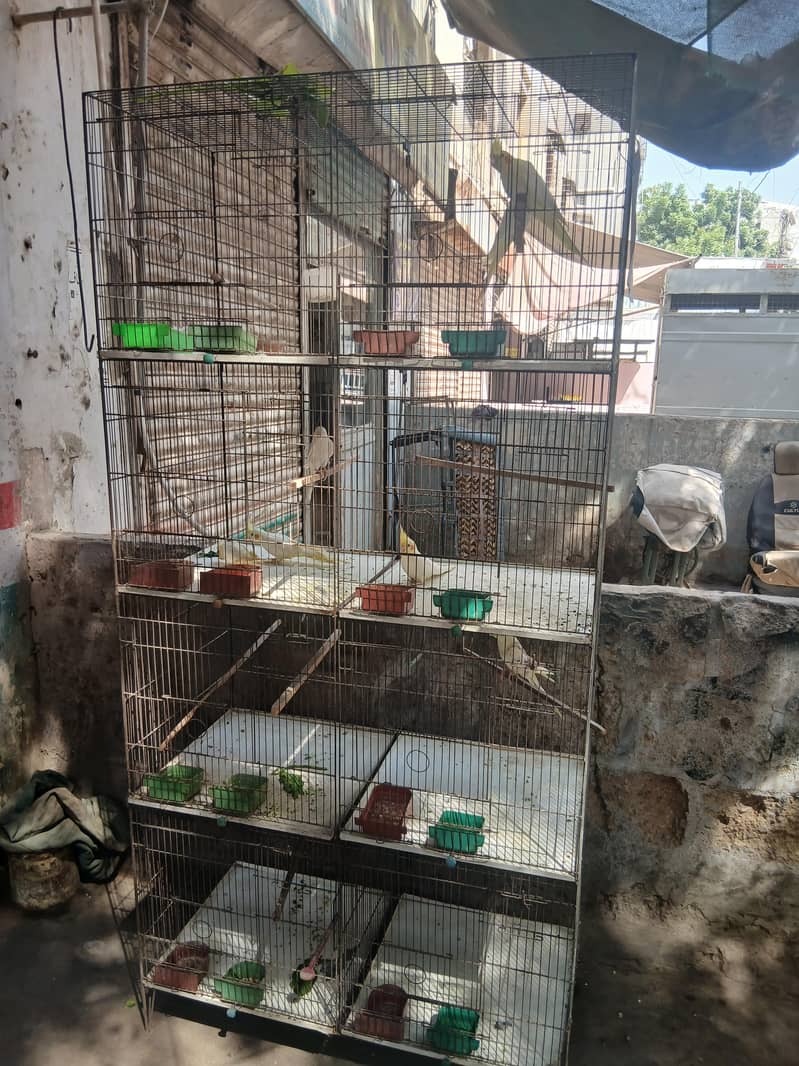 8 portion cage 2