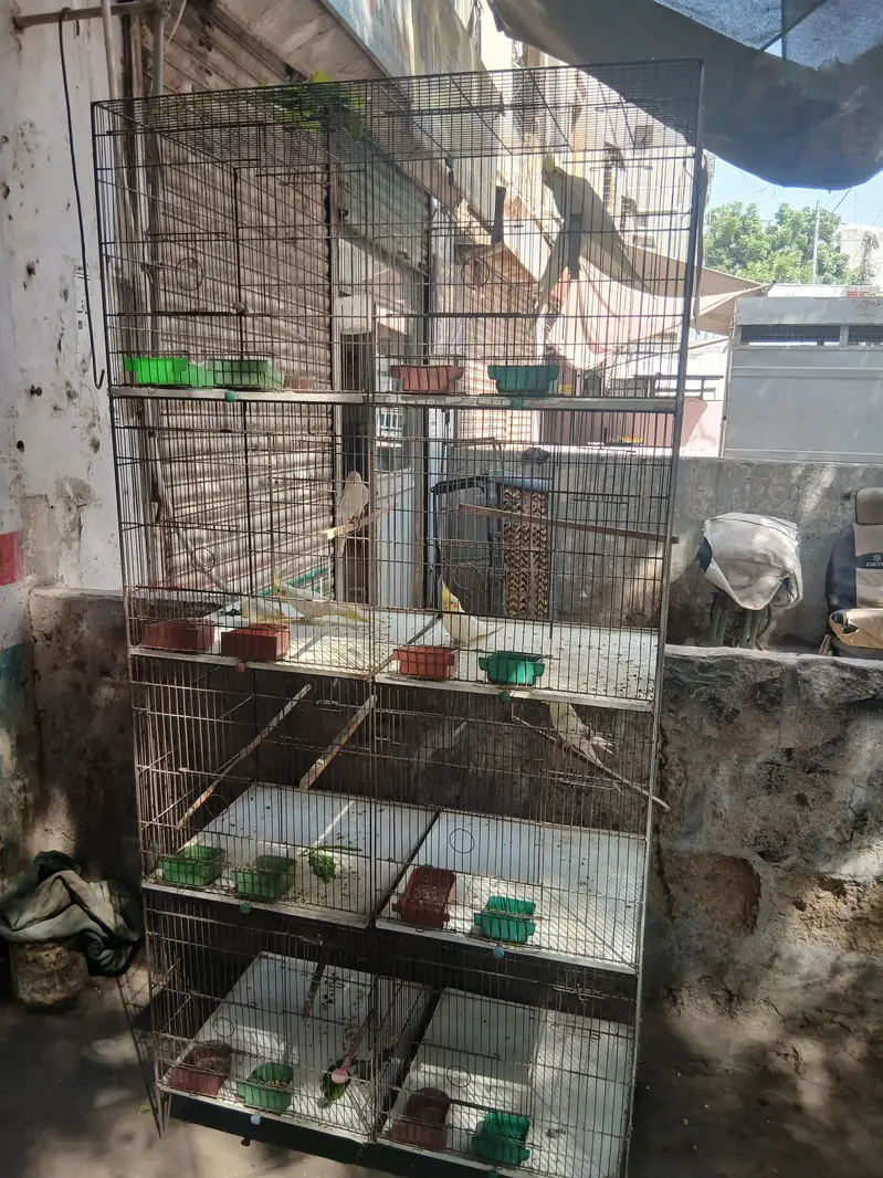 8 portion cage — photo 3