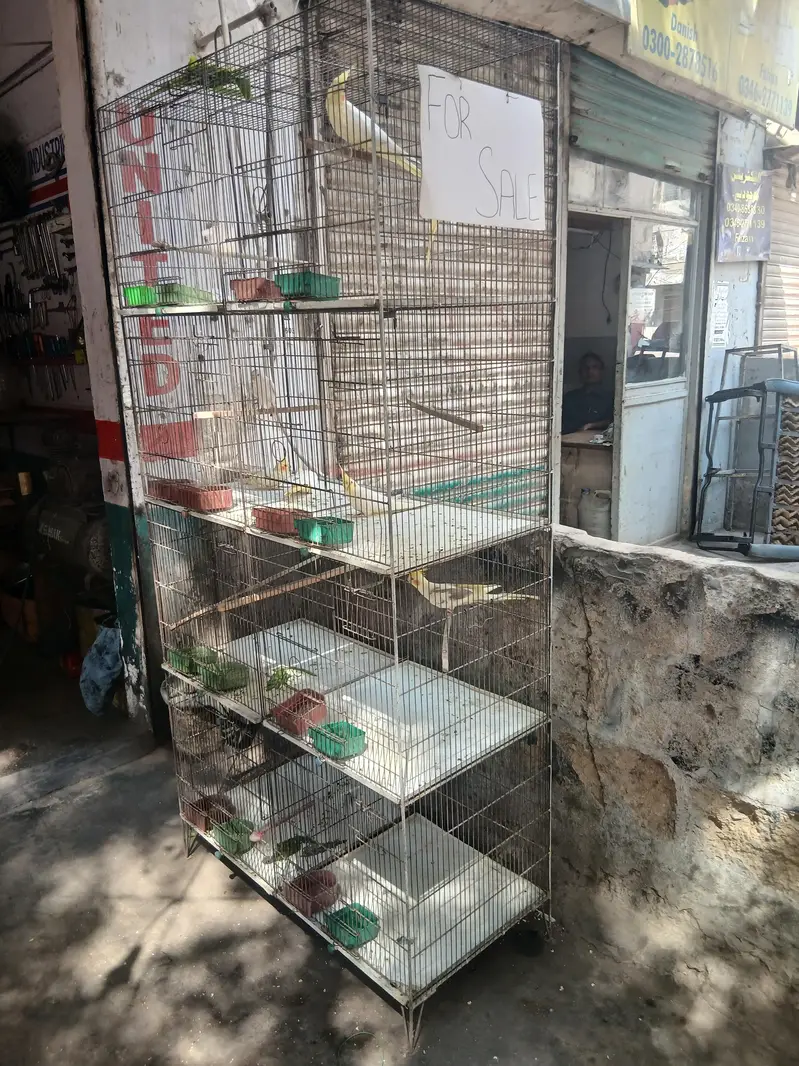 8 portion cage — photo 4