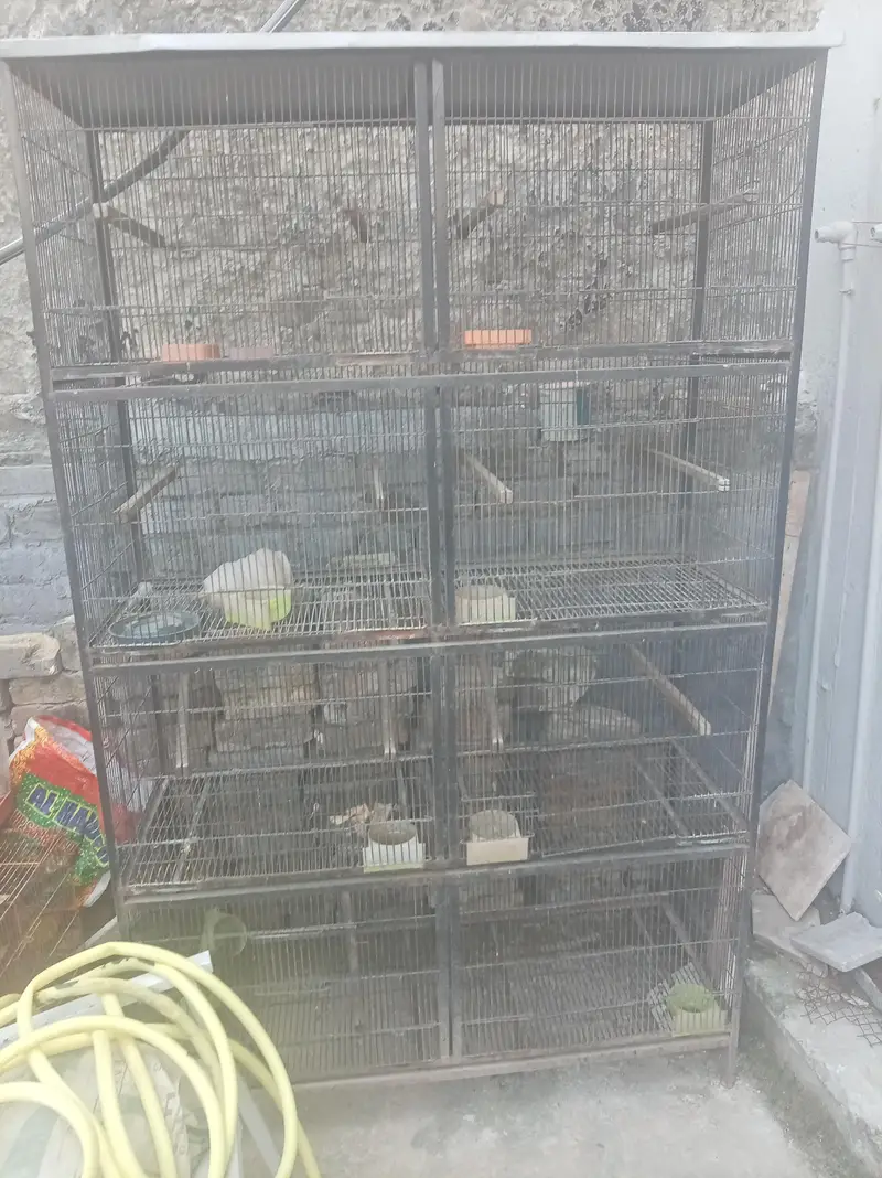 cages available for sale n sunconure parrots — photo 6