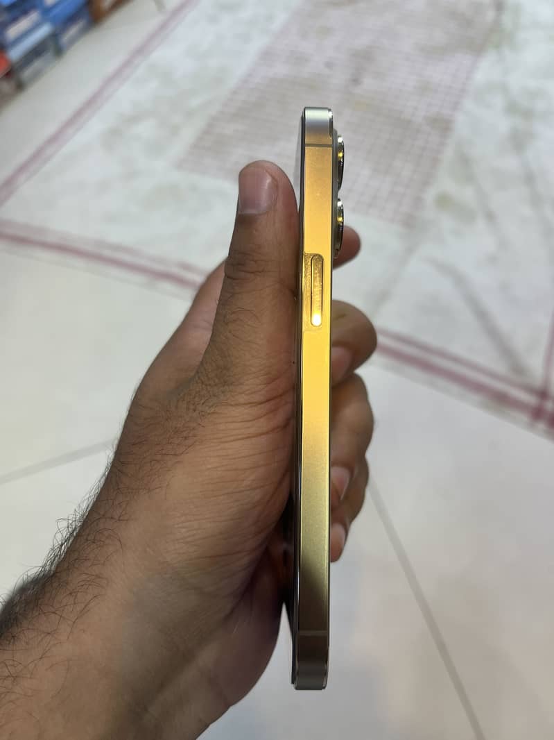 Iphone 13 Pro 1
