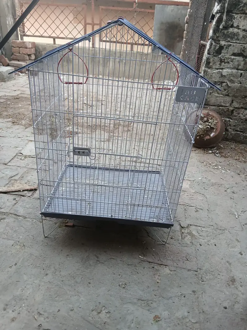 love bird's with cage — photo 4
