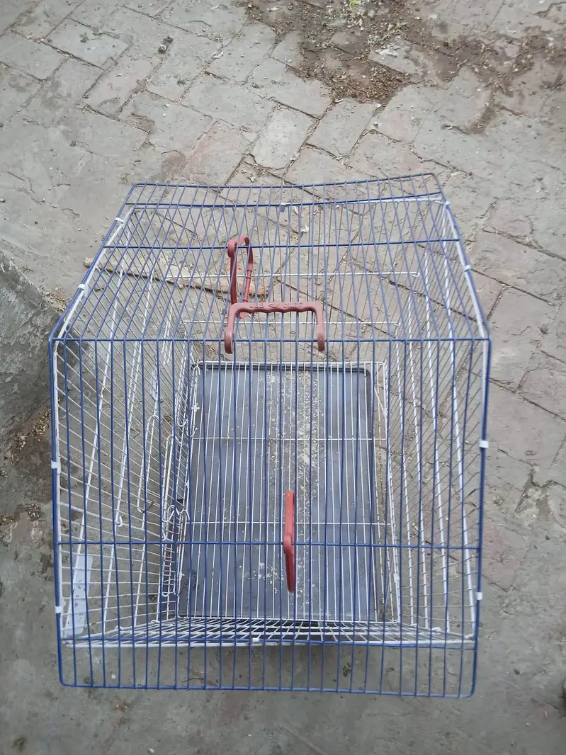 love bird's with cage — photo 5