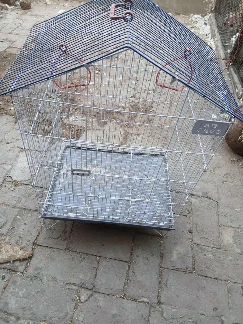 love bird's with cage — photo 6
