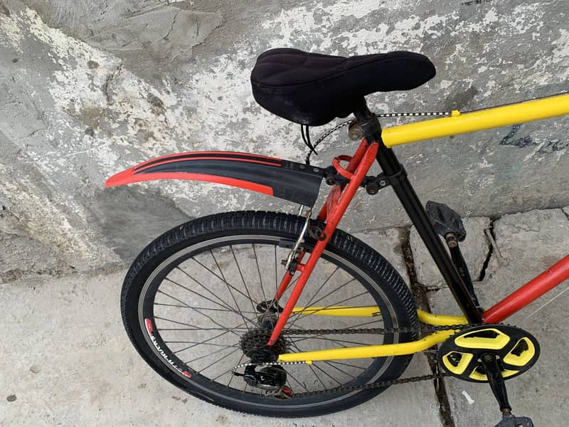 Phonicx cycle 5