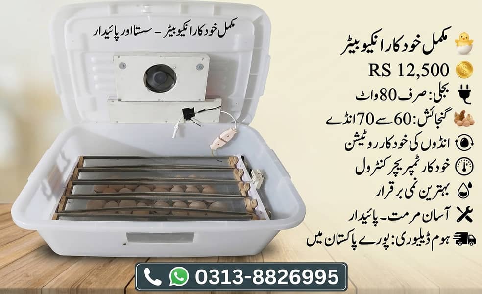 Automatic Incubator 60 eggs 1