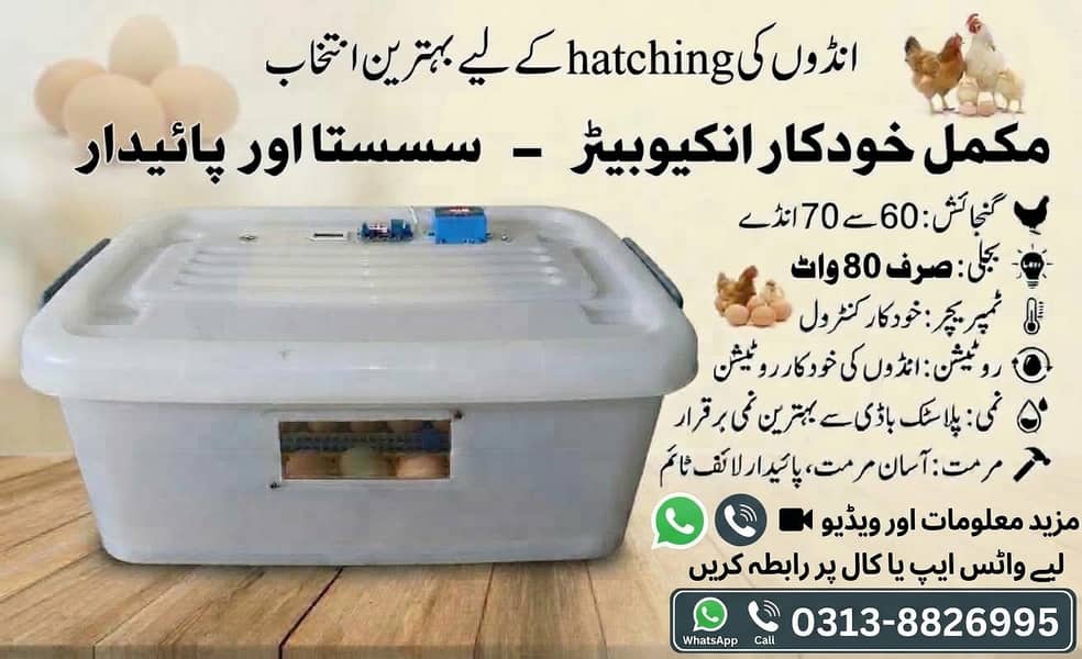 Automatic Incubator 60 eggs 2