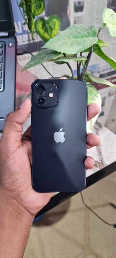 iPhone 12 64gb jv non pta srrious persons rabta kre no timepassers