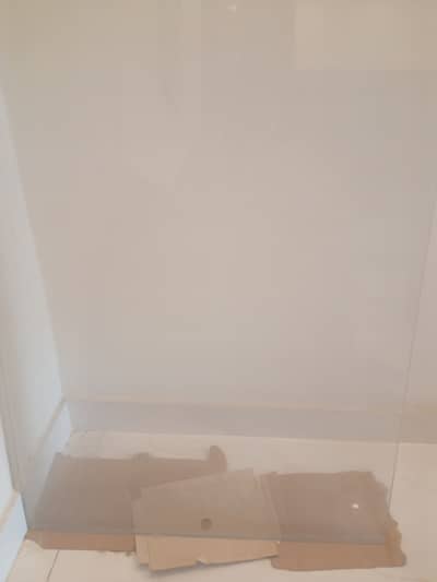 Mirror Door