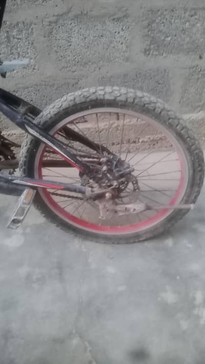 cycle for sell