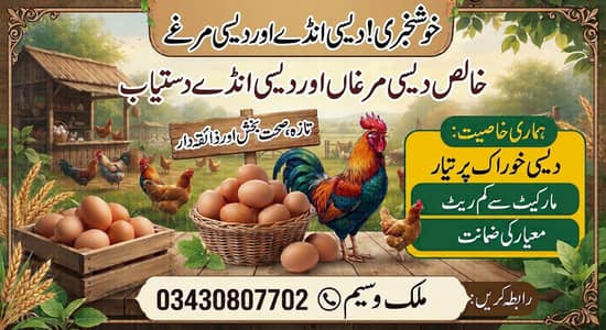 golden eggs desi eggs desi murga