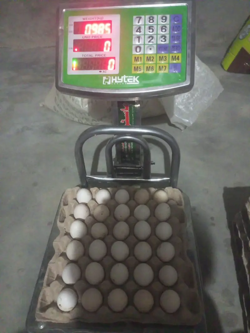 golden eggs desi eggs desi murga — photo 2