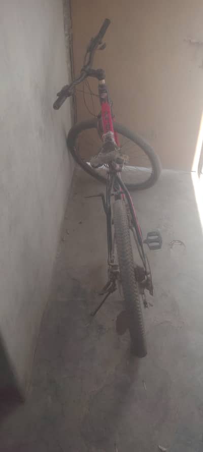 Morgan 5 gear bicycle