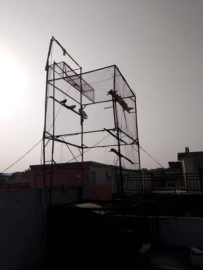 jaal 6by6 10feet height
