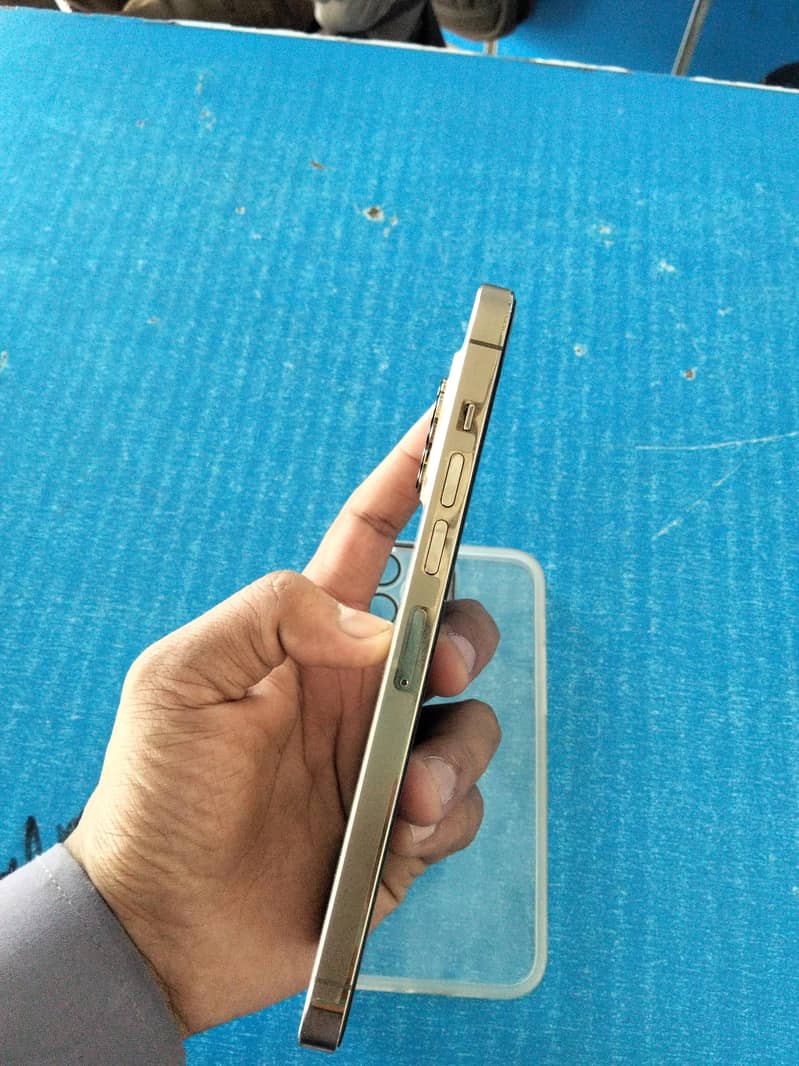Apple iPhone 13 Pro Max 2