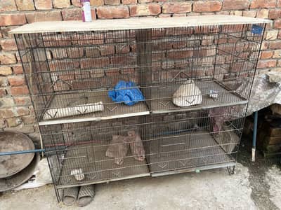 3by4 feet cage for sale