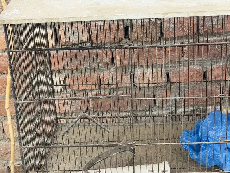 3by4 feet cage for sale — photo 2