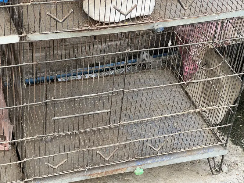 3by4 feet cage for sale — photo 3
