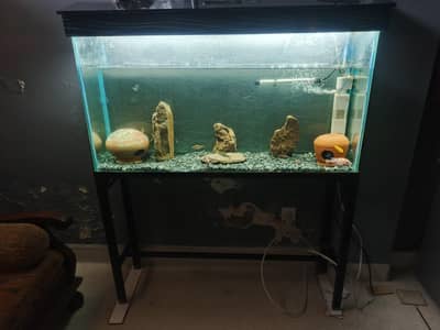 4ft Aquarium and koi fishes for sale