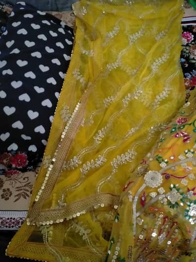 Lenga for mehndi and mayon funtion