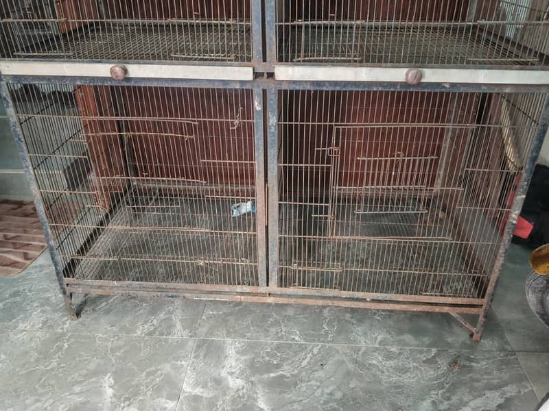 birds cage 2