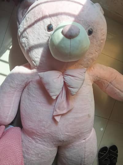 A huge Pink Teddy Bear for sale