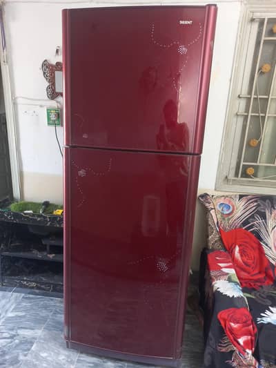 Orient Full Size Glass Door Refrigerator -