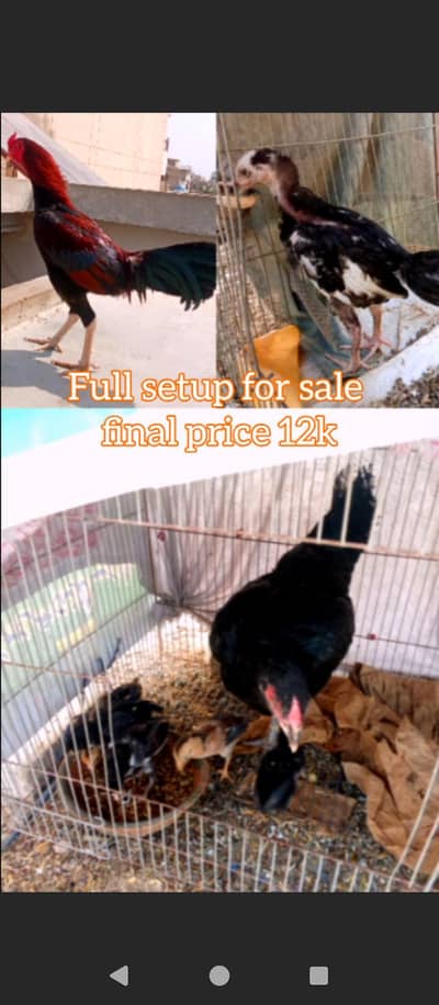 full setup for sale